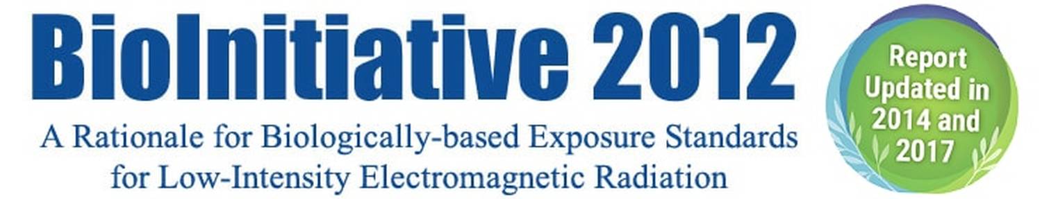 logo Bioinitiative smaller